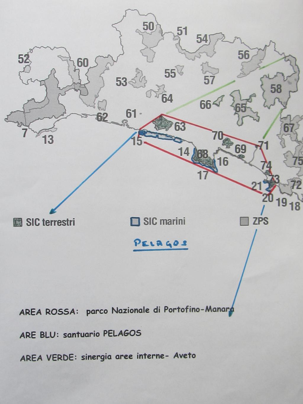 AREE LIMITROFE AL PARCO MARINO DI PORTOFINO: (15) Fondali di Boccadasse Nervi. (14) Fondali di Nervi Sori. (16) Fondali di Rapallo. (21) Fondali di Punta Sestri. (20) Fondali Pt. Manara.