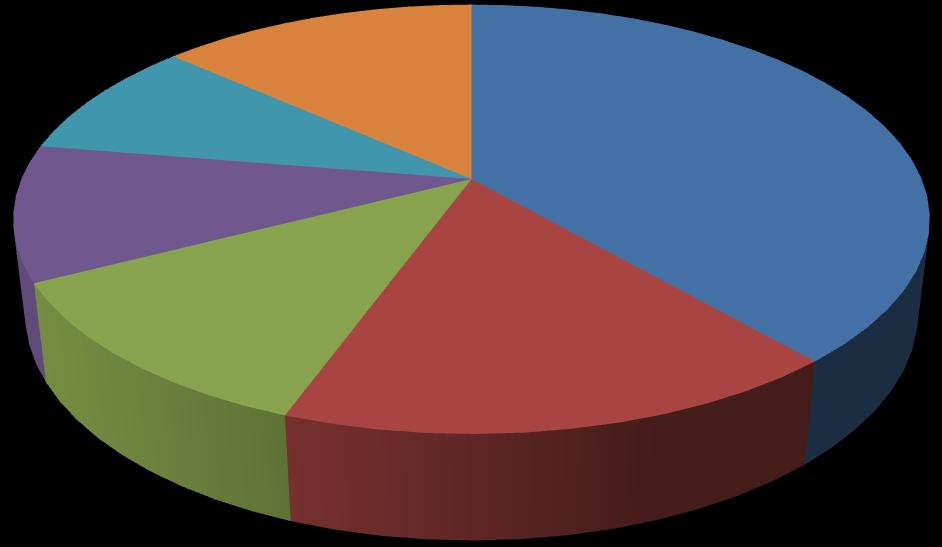 Casalinga 10%  Altro 13% Precario 17% Occupato a tempo