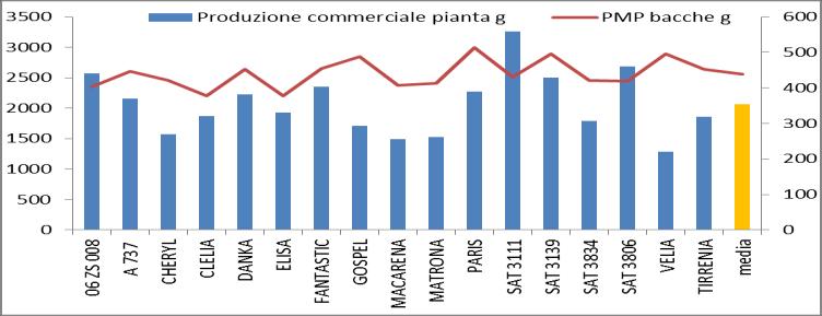 Nel segmento produttivo a tipologia ovoidale con colorazione nera della bacca si distinguono, per produttività, gli ibridi SAT 311 con oltre 3200 g / pianta di commerciale seguita poi da SAT 3806 (