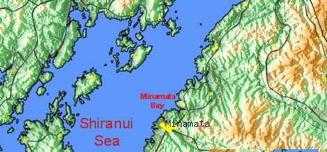 Disastro nella baia di Minamata (Giappone) L industria chimica Chisso ha scaricato nelle acque della