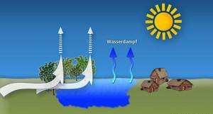 L'acqua evapora, sotto l'azione della radiazione solare, a partire dal terreno, dalla vegetazione e dagli