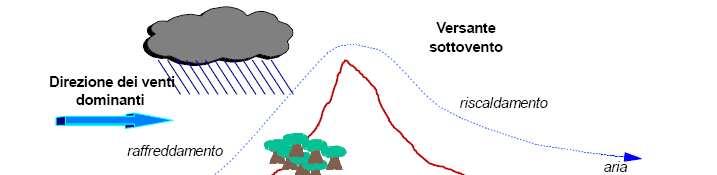 Variabilità locale del ciclo dell acqua Effetto della toporafia sulle precipitazioni L aria che sale lungo il versante sopravento di una