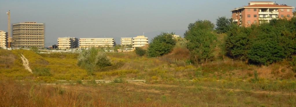 il parco campagna (area 7),