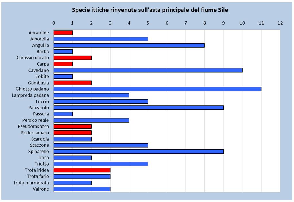 trota iridea elencate nella successiva Figura 8 e Tabella 5.