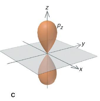 Rappresentazioni orbitaliche: 2p Un elettrone occupa in uguale misura entrambe le regioni di un orbitale 2p e trascorre il
