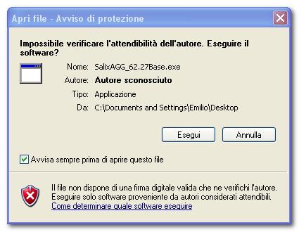 A questo punto il sistema di sicurezza di Windows potrebbe chiedervi se davvero desiderate eseguire il file su cui