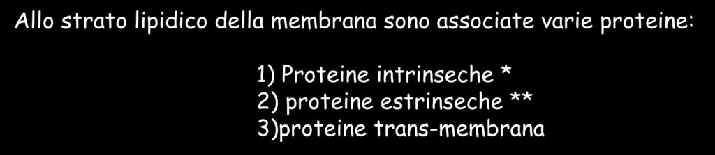 associate varie proteine: 1) Proteine