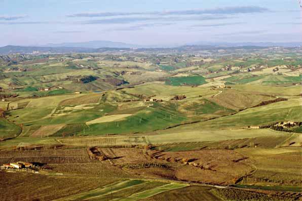 ATTUALITÀ ANALISI RETE RURALE NAZIONALE MIPAAF La condizionalità funziona e tutela l ambiente Documentare che l agricoltura «produce» beni pubblici come la tutela dell ambiente e della biodiversità è