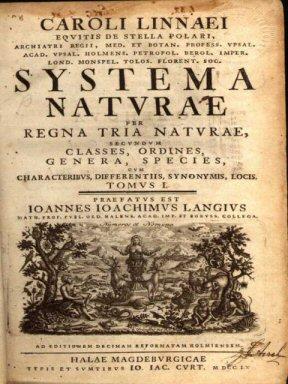 aristotelici) La sua opera più importante, il Systema Naturae, riprende