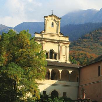 in Italia - Sandro Nicoloso 30 La gestione del capriolo nelle Alpi