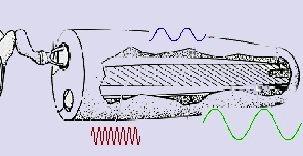 Membrana basilare Frequenze distribuite ordinatamente frequenze alte all estremità vicina agli ossicini (stretta, rigida, leggera) frequenze basse all