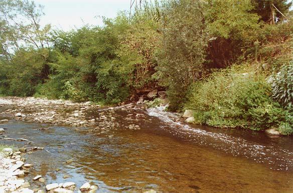 ARPAT Acque interne e marino-costiere. Lo stato delle conoscenze.