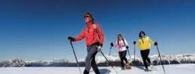 I VENERDÌ DELLE CIASPOLE ZONCOLAN Il monte Zoncolan è noto agli sciatori per le sue splendide piste da discesa.