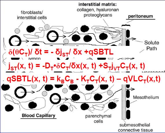 Modello distribuito Flessner MF et al.