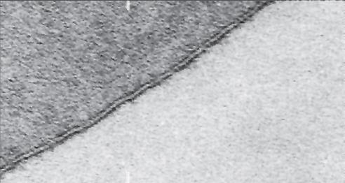 Interno Membrana Esterno - Anni 50: osservazione dello spessore della membrana plasmatica al microscopio elettronico: 10 nm (quindi si