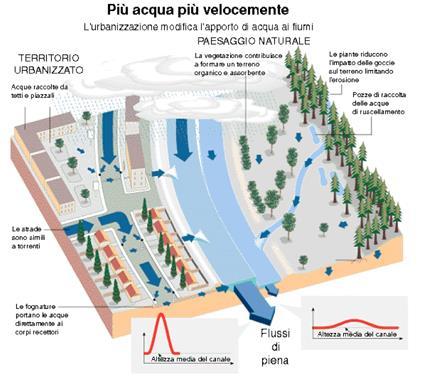 Riduzione tempi di corrivazione, con aumento volumi e velocità delle acque che defluiscono nei corsi d acqua Riduzione della quantità di acqua di infiltrazione a ricarica delle falde Aumento