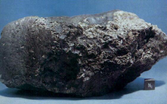 ALH 84001 Meteorite