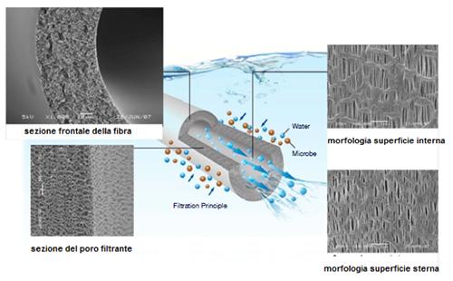membrane: - Membrane organiche