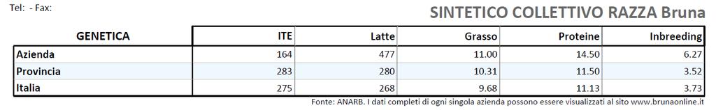 Il Sintetico Collettivo Bovini