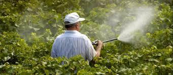 corretto smaltimento di rifiuti potenzialmente tossici con rilascio nel terreno di contaminanti Uno dei principali inquinanti in acquiferi sia rurali che urbani: - ione nitrato da