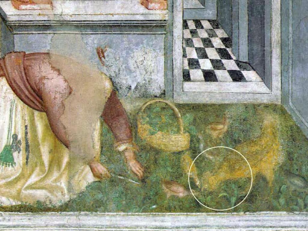 Ciuffata - 1397 Particolare di un affresco di Jacopo da