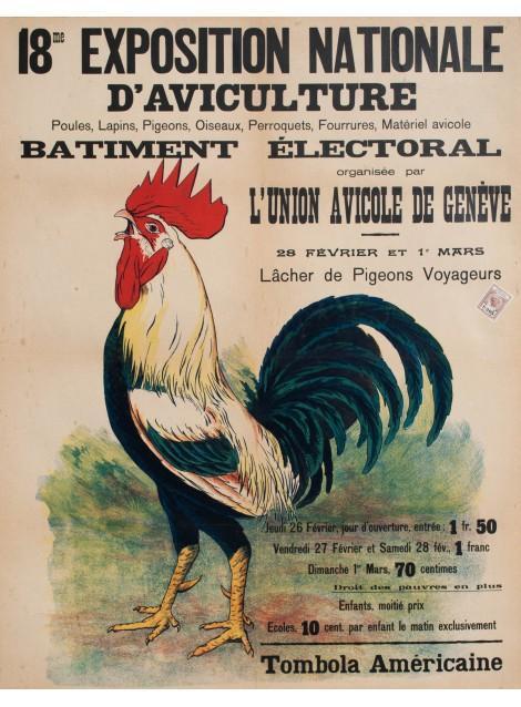 Un po di storia recente e tenere presente che in Europa il primo Poultry Show ebbe luogo a Londra nel 1845 con una