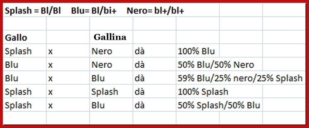 Blu Gene Bl Difetti: Ciuffo e mantellina troppo scuri.