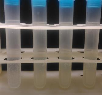 Concentrazione di Flavonoidi METODO COLORIMETRICO DEL CLORURO D ALLUMINIO Determinazione dei flavonoidi