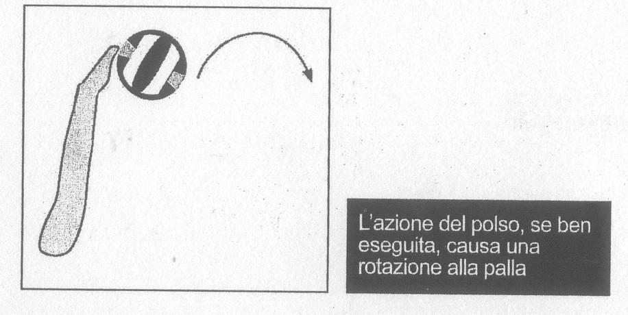 poterla contenere, successivamente l allievo dovrà