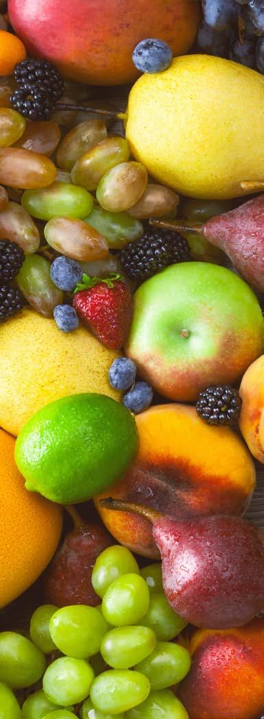 Le linee di prodotto di Natura Nuova Frutta e Cereali Gastronomia Vegetale BIO Gastronomia Vegetale Frutta frullata Frullati