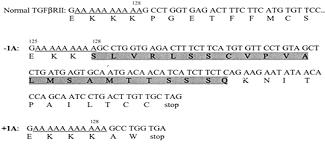 L alterazione del MMR aumenta l insorgenza di mutazioni nel gene codificante per il recettore di tipo II per il TGFβ (TGFβ è un inibitore della proliferazione cellulare) Tale gene contiene una fila