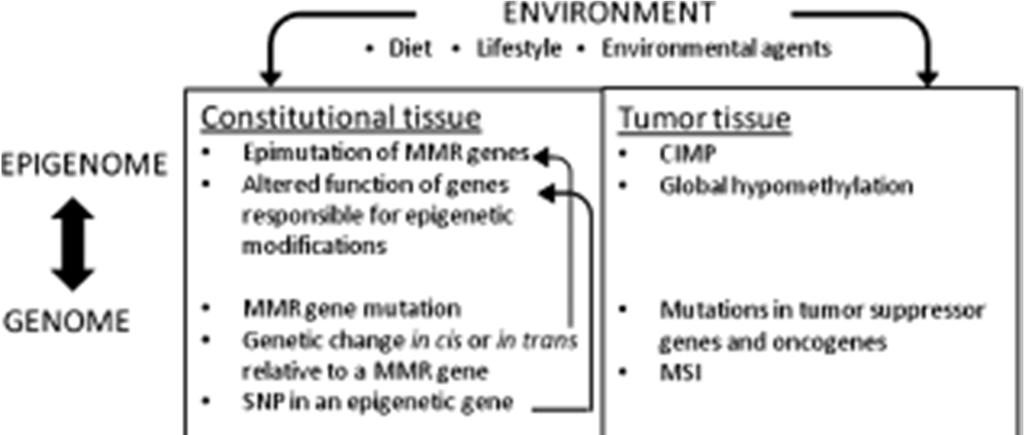 Epigenetic mechanisms in the pathogenesis of Lynch syndrome Clinical