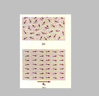 La simmetria nascosta Il MS unifica interazioni deboli & elettromagnetiche, sebbene esse