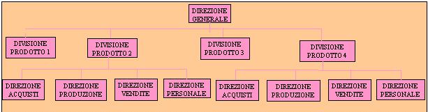 STRUTTURA DIVISIONALE divisione per prodotti