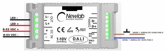 3 - Al fine di attivare tale modalità di controllo/funzionamento è necessario rimuovere eventuali segnali di controllo dagli ingressi D+ e D- e connettere tra gli ingressi DALI/P1 e DALI/P2 un