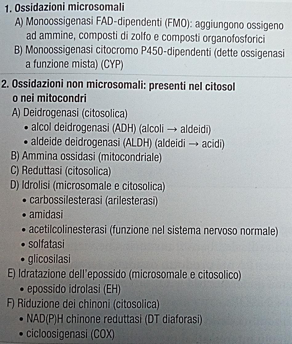 Metabolismo degli xenobiotici Fase I o di funzionalizzazione: Reazioni di ossidazione che inseriscono nella molecola un centro funzionale o reattivo, elettrofilio, come il gruppo epossico o