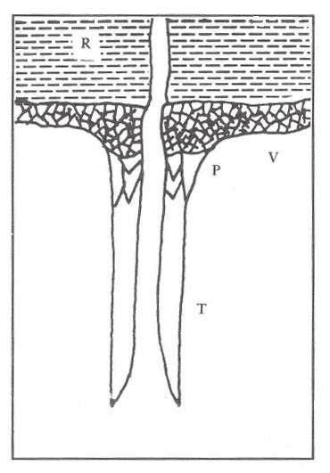 Figura 5.