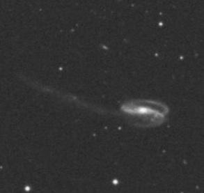 L immagine a sinistra mostra una galassia con una coda.