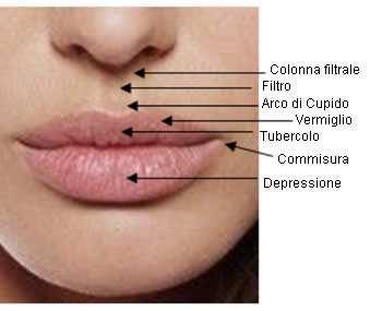LABBRA 9 - Superiore e inferiore - Funzione - Posizione - Rima orale angoli commessure labiali - Forma