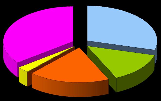 Idrica Biomasse, Biogas e Bioliquidi Fonti non rinnovabili Geotermica Eolica Solare Solare 35,4% Idrica 29,3% Eolica 2,8% Geotermica 0,0% Fonti non rinnovabili 18,6% Biomasse,