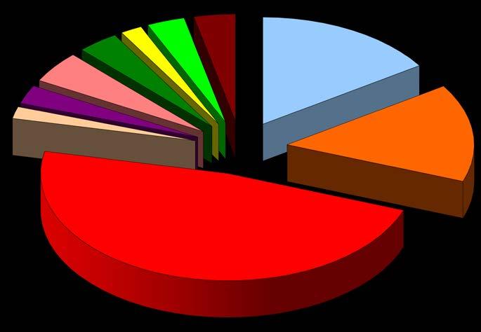 Geotermica 1,9% Eolica 3,3% Solare 3,6% Idrica 15,8% Combustibili solidi 14,8% Prodotti petroliferi 2,7% Gas derivati 1,7% Gas naturale 47,8% Totale: 302,57 TWh Figura 2: