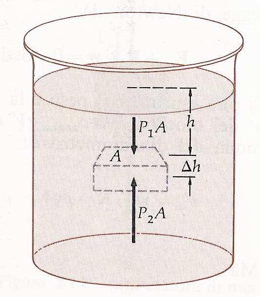 1 La legge di Stevino. Ricordiamo la definizione di pressione come la forza per unita di superficie.
