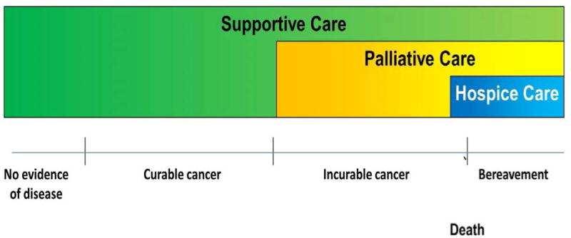 Integrating palliative care into the