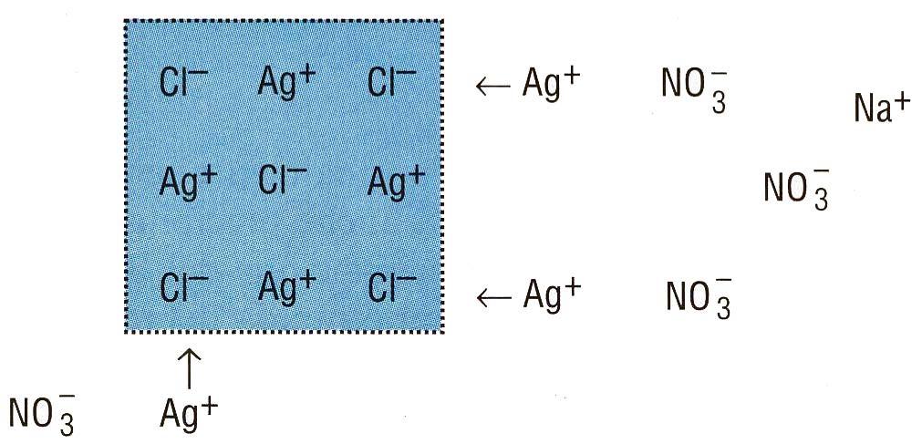 AgNO 3, tutti i granuli di AgCl formatisi