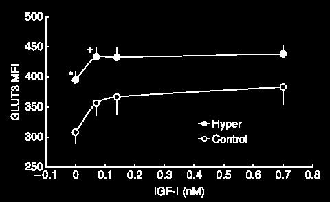 IFG-I increases the recruitment of GLUT4 and GLUT3