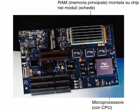 La memoria principale Fornisce la capacità di memorizzare le informazioni Può essere vista come una