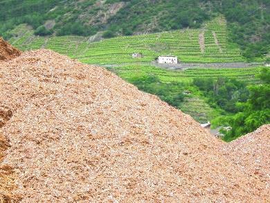 [ton sostanza secca pro capite] Patrimonio forestale: una risorsa per lo sviluppo locale Nell impiego della biomassa legnosa a fini