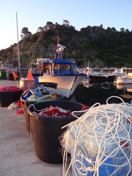 di Capraia Isola Aziende