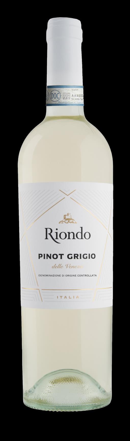 Pinot Grigio Bianco, fermo Delle Venezie D.O.C.