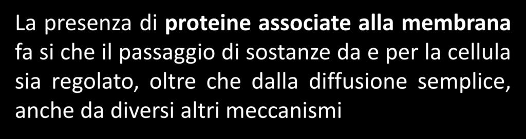 altri meccanismi Diffusione facilitata (carriers e canali ionici) Trasporto attivo